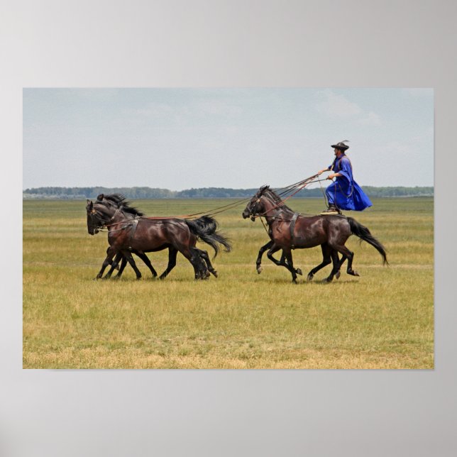 Póster Jinetes de Hungría y caballos (Frente)