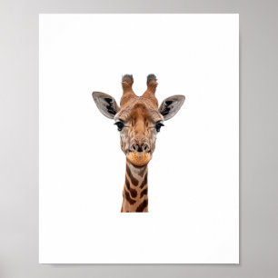 Póster Jirafa _1