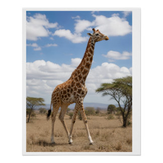 Póster Jirafa Majestuosa Caminando por la Sabana Africana
