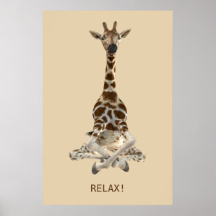 Póster Jirafa Meditating