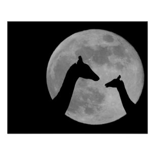Póster Jirafas en noche de luna llena