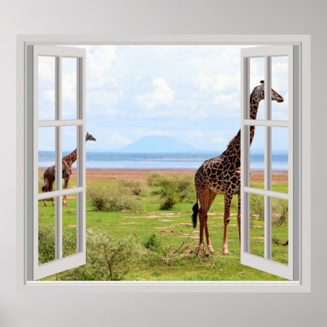 Póster jirafas en Serengeti (Frente)