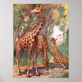 Póster Jirafas por Louis Sargent, Animales Africanos Vint
