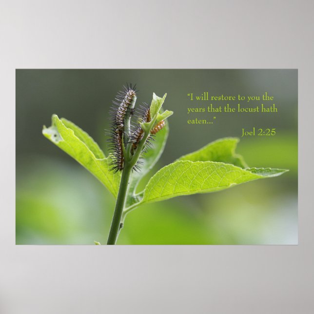 Póster Joel 2:25 Poster de guiones (Versión C) (Frente)