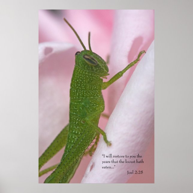 Póster Joel 2 Poster de guiones (Frente)