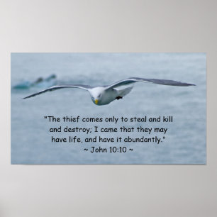 Póster John 10:10 Poster