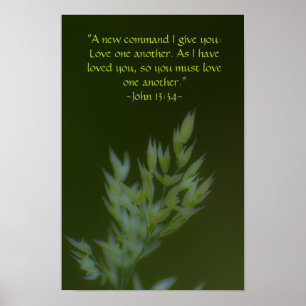 Póster John 13:34