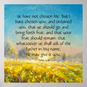 Póster John 15:16