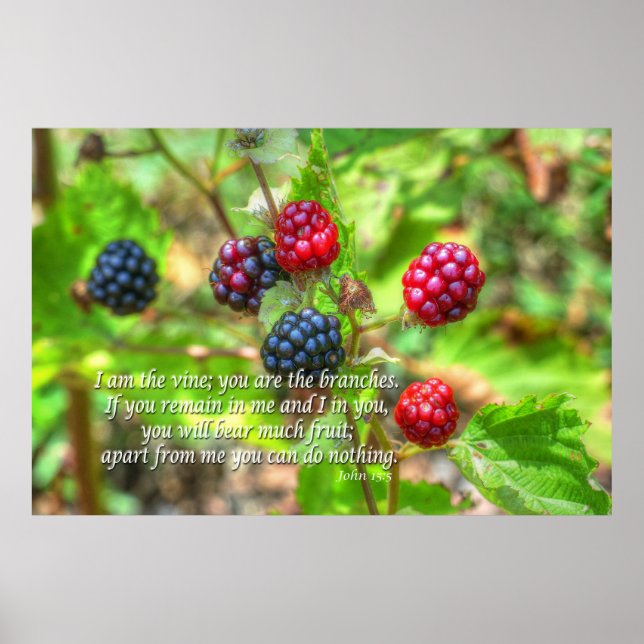 Póster John 15:5 (Frente)