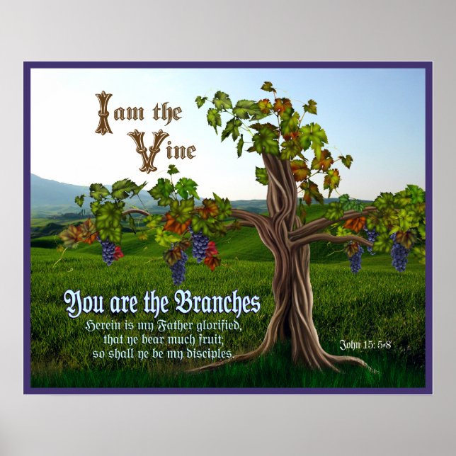 Póster John 15: 5-8 Grape Vine Scripture (Frente)