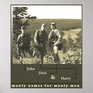 Póster John Dick y Harry