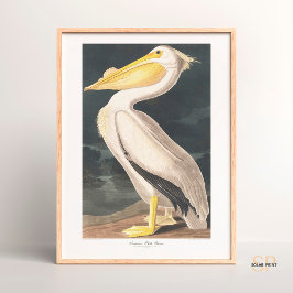 Póster John James Audubon American White Pelican Majesty