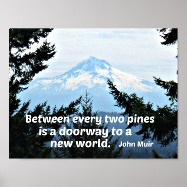 Póster John Muir: "Entre cada dos pinos hay una puerta" (Frente)