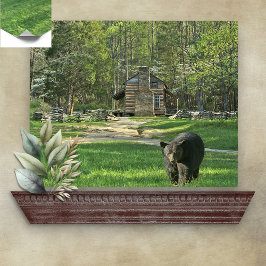 Póster John Oliver Black Bear Cabin