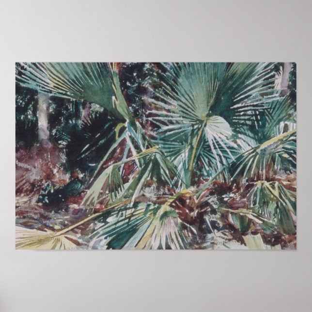Póster John Singer Sargent - Palmettos (Frente)