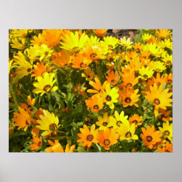 Póster Joie de Vivre (1) Poster