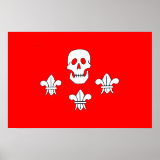PÓSTER JOLLY ROGER SKULL Y LA BANDERA DE TRES LILIES