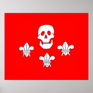 PÓSTER JOLLY ROGER SKULL Y LA BANDERA DE TRES LILIES