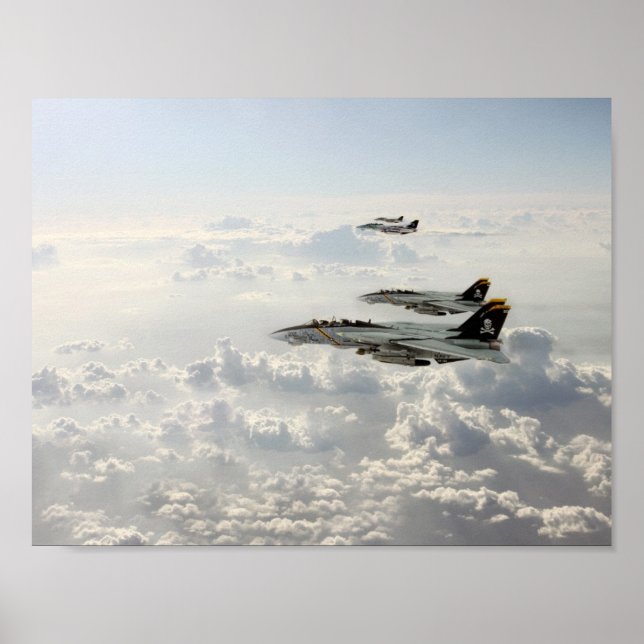 Póster Jolly Rogers (Frente)