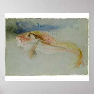 Póster Joseph Mallord William Turner A Gurnard