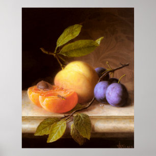 Póster Joseph Peter Wilms - Melocotones y ciruelas