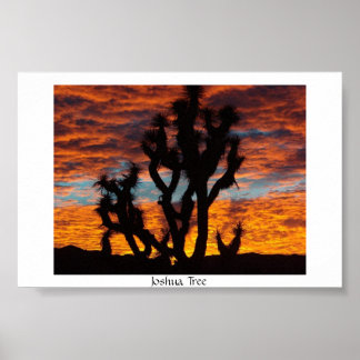 Póster Joshua Tree