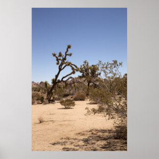 Póster Joshua Tree