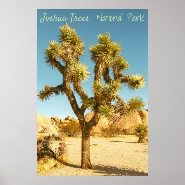 Póster Joshua Tree (Frente)
