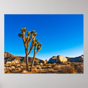 Póster Joshua Tree