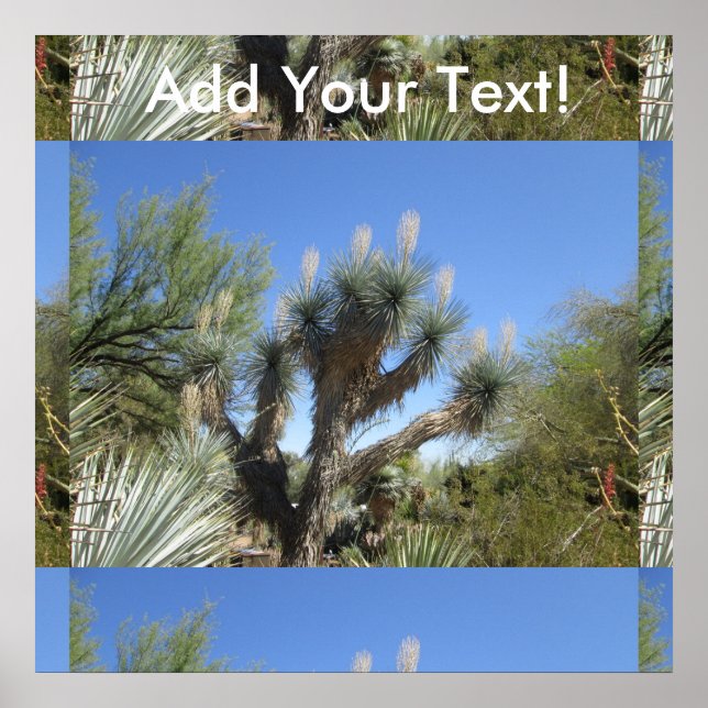 Póster Joshua Tree (Frente)