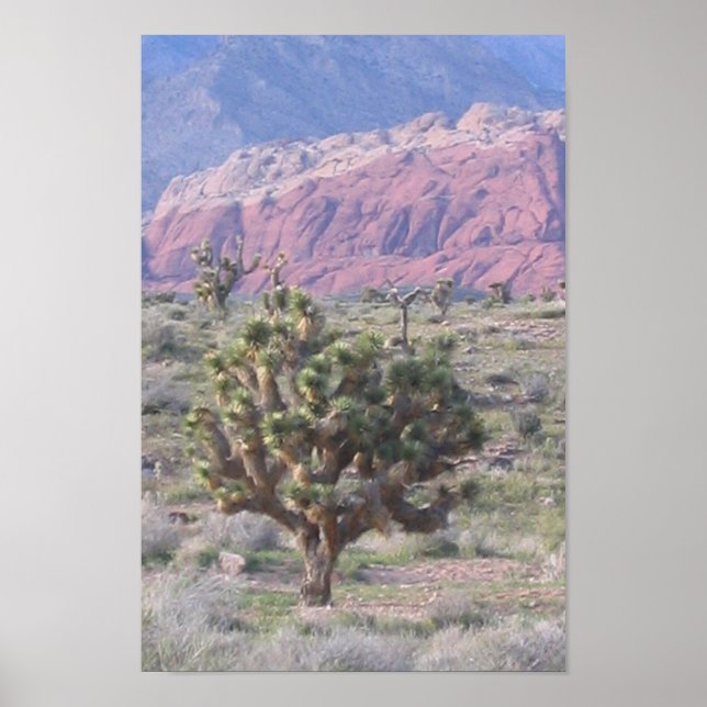 Póster Joshua Tree (Frente)