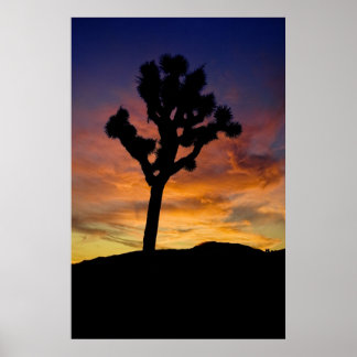 Póster Joshua Tree