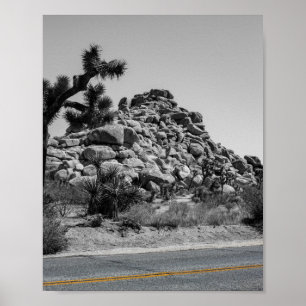 Póster Joshua Tree Rocks with Road - California Photo