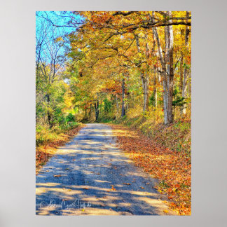 Póster Journey Ahead