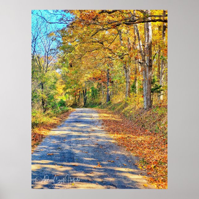 Póster Journey Ahead (Frente)