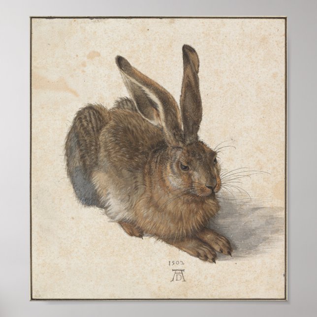 Póster Joven liebre de Albrecht Durer (Frente)
