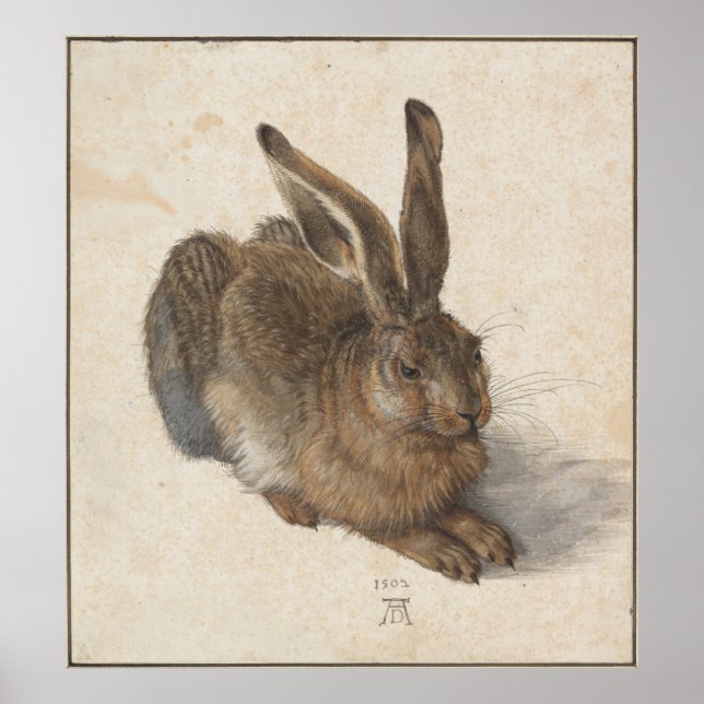 Póster Joven liebre de Albrecht Durer (Frente)