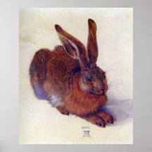 Joven liebre de Albrecht Durer, Bella Artes del Re