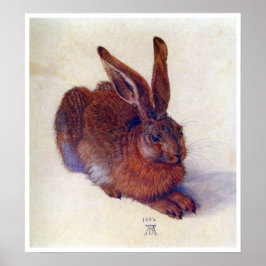 Póster Joven liebre de Albrecht Durer, Bella Artes del Re