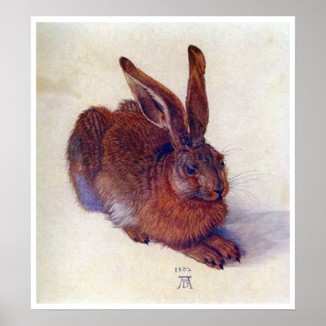 Póster Joven liebre de Albrecht Durer, Bella Artes del Re (Frente)