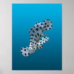 Póster Joven mero - fondo azul gradiente