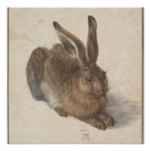 Póster Jóvenes (Durer 1502)