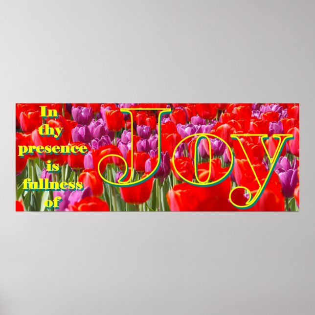Póster Joy (Frente)