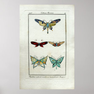 Póster Joyería de mariposa de estilo Art Nouveau de época