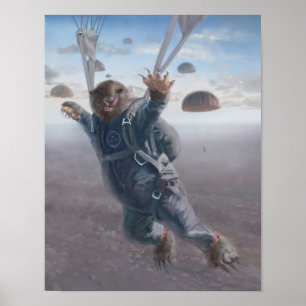 Póster Joyride aéreo de Wombat