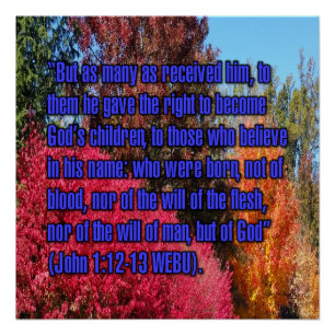 Póster Juan 1:12-13 WEBU
