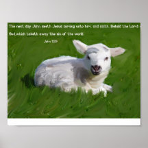 Juan 1:29