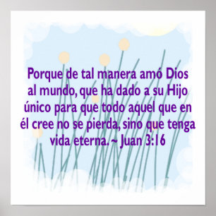 Póster Juan 3:16