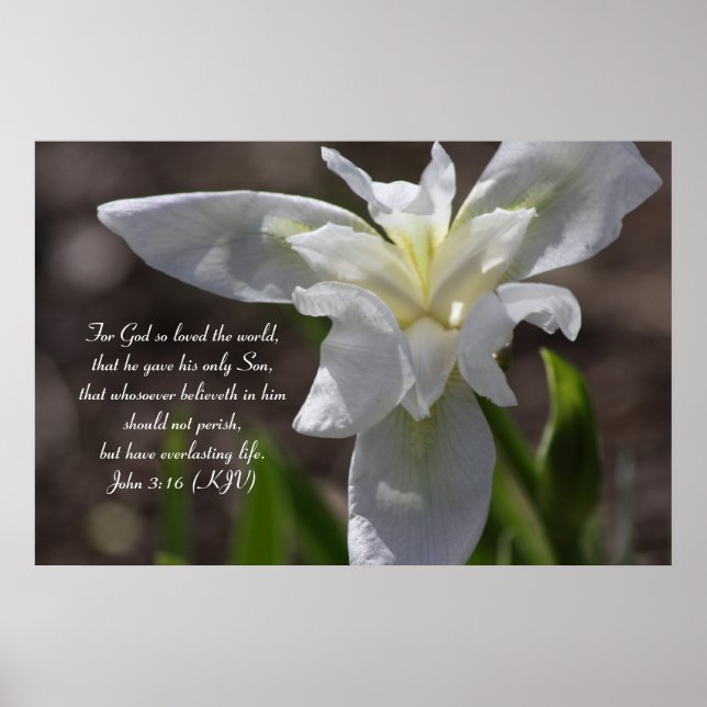 Póster Juan 3:16 - La fuerza del amor de Dios (Frente)