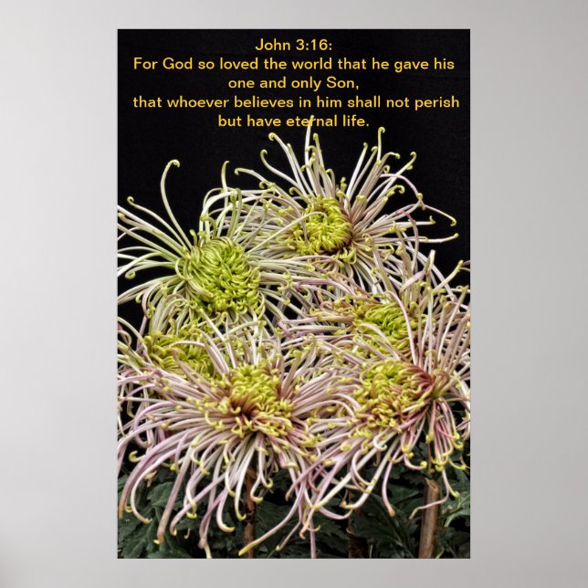 Póster Juan 3:16 Por Dios tan amado el mundo (Frente)